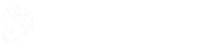 Social Enterprise Network Pakistan Logo